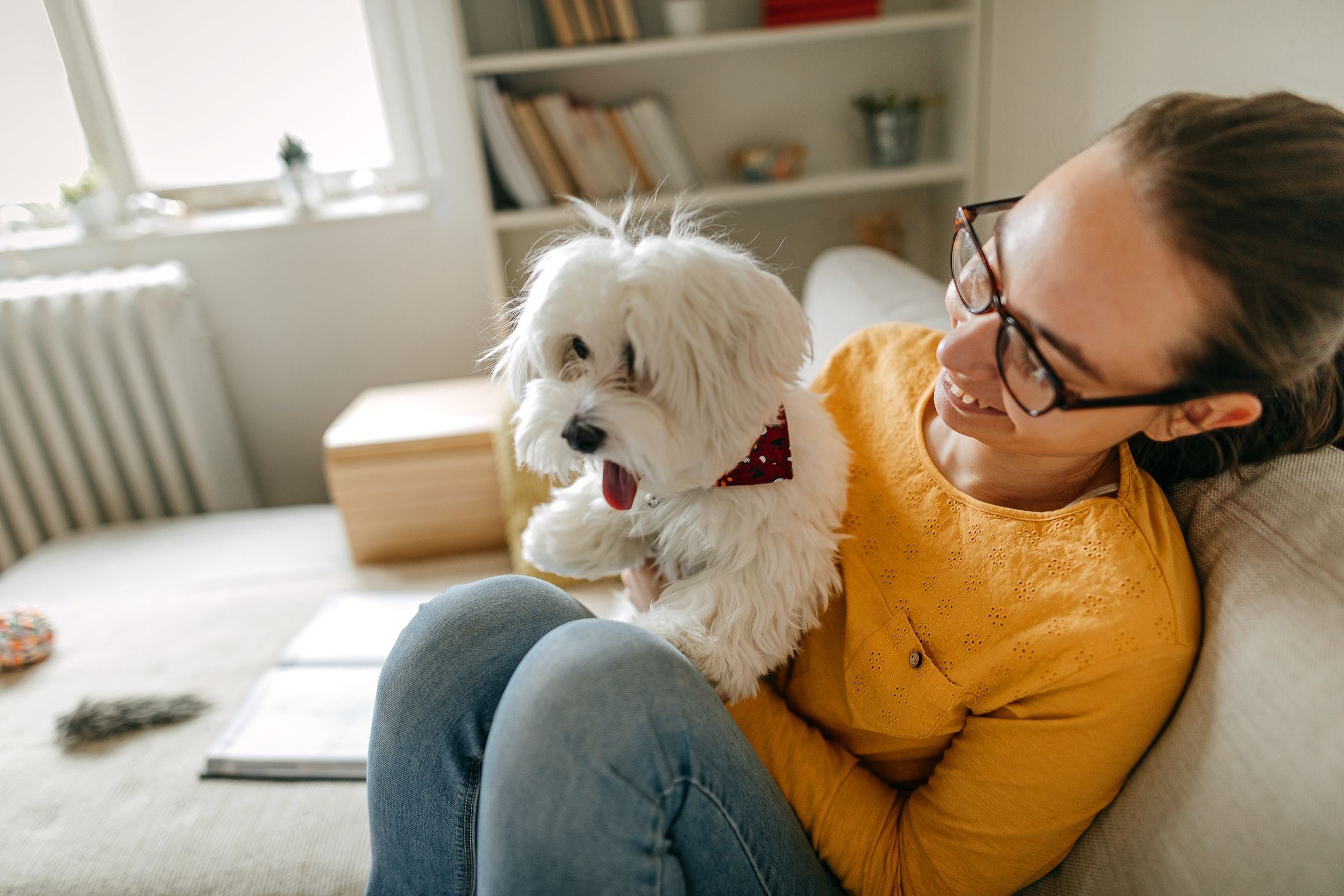 condominio pet friendlycondominio pet friendly